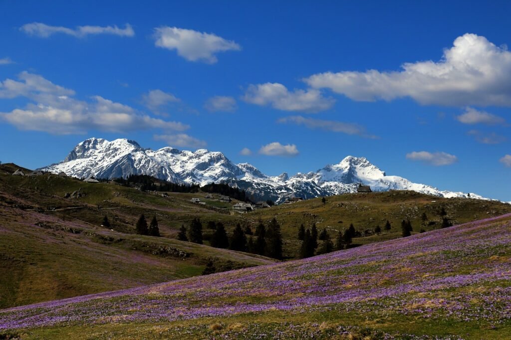 Slovenia, Velika planina, Kamnik-Savinja slps